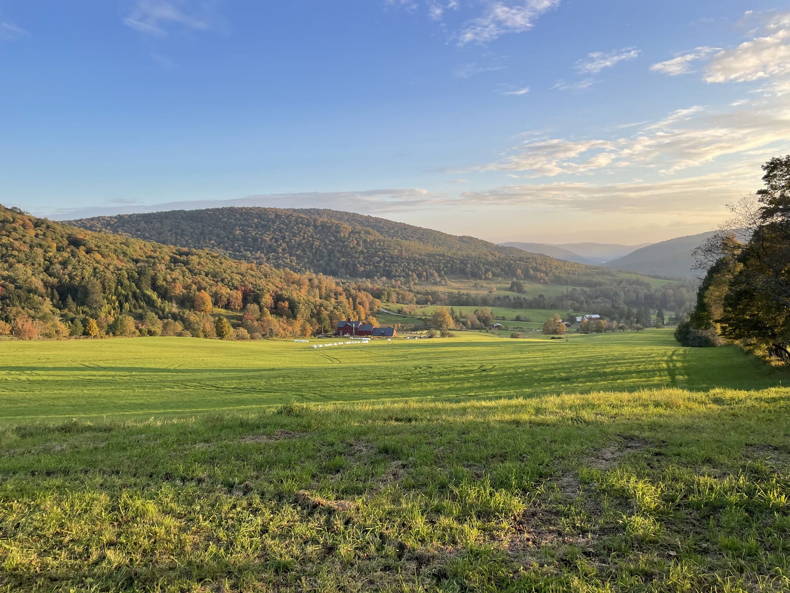 Autumn light over a folded valley of pasture and hardwood forest in the Western Catskills