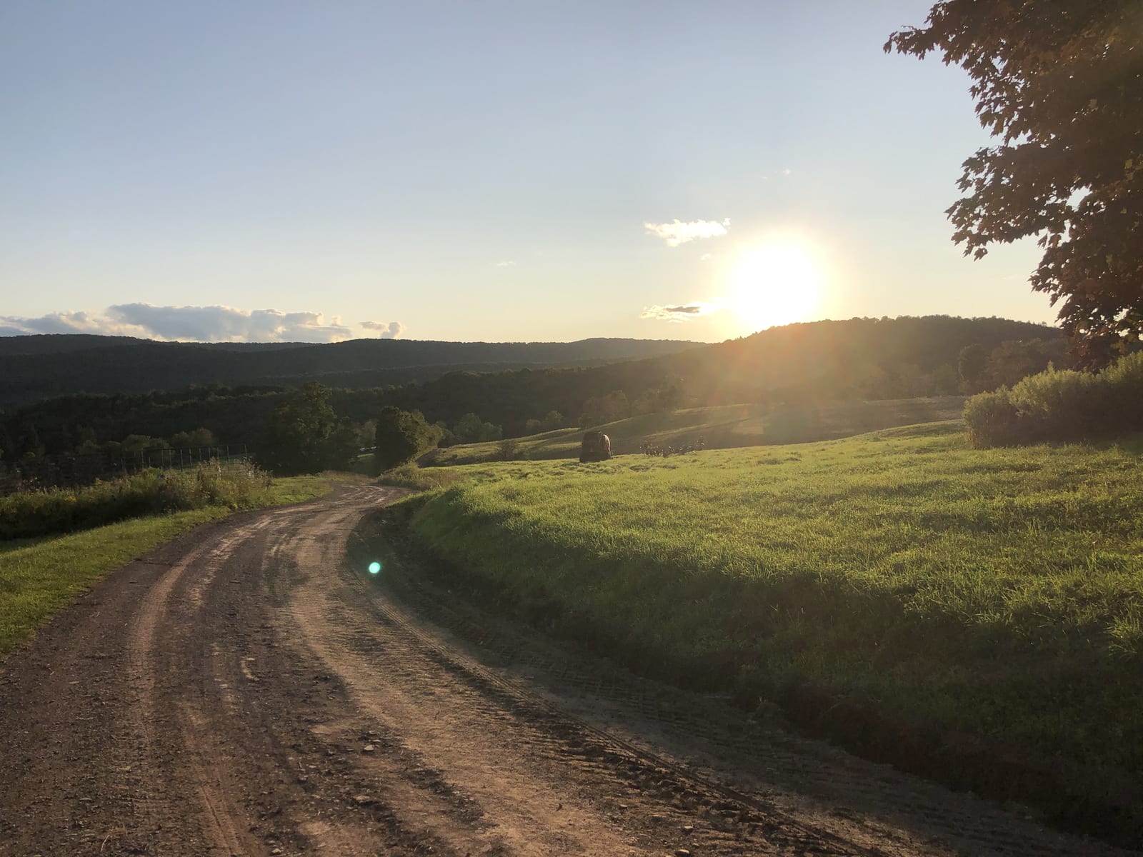 A country road winding up through Catskills pasture toward a glowing sunset